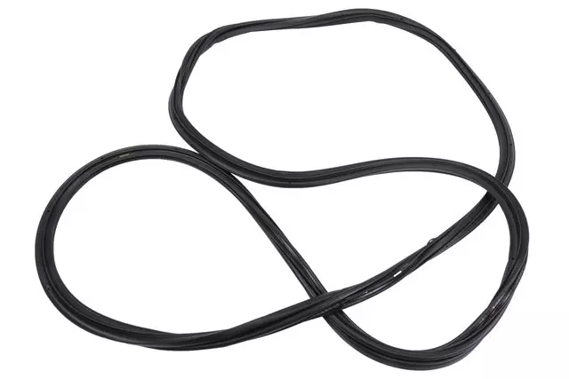 22826591 - Body: Weatherstrip for GM Image