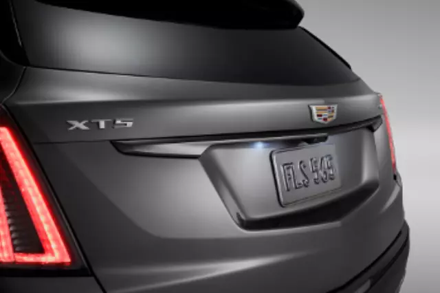 Rear Liftgate Applique in Black - GM (84768703)