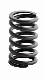 ERV813 - : Engine Valve Spring for Enginetech Image