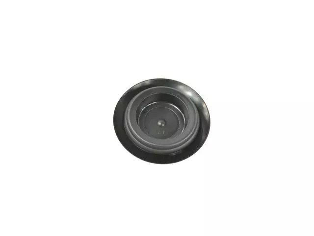 Body Plug - Mopar (68315611AA)