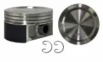 P5014175 - : Engine Piston for Enginetech Image