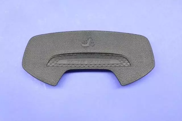 Bulkhead Trim Bezel - Mopar (1WV68DX9AB)