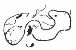 84778830 - : Chassis Wiring Harness for GM Image