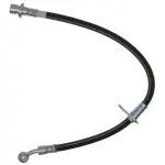 19174846 - : Hose for GM Image