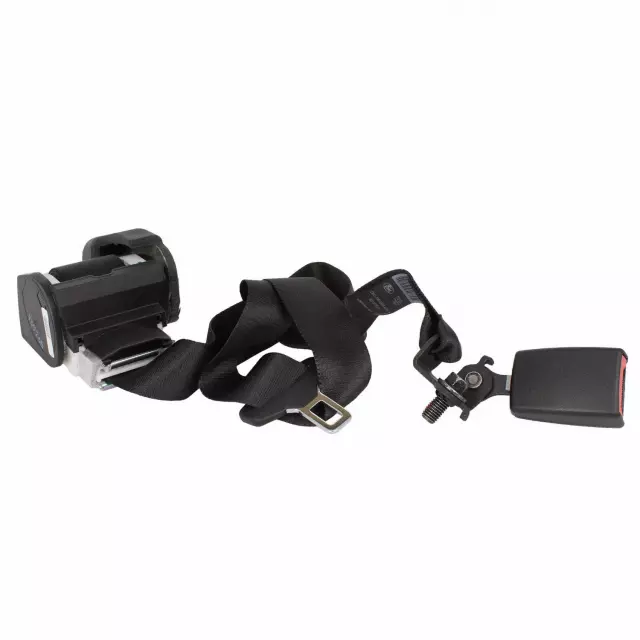 CK4Z14611B66AC - Electrical: Center Belt Assembly for Ford Image