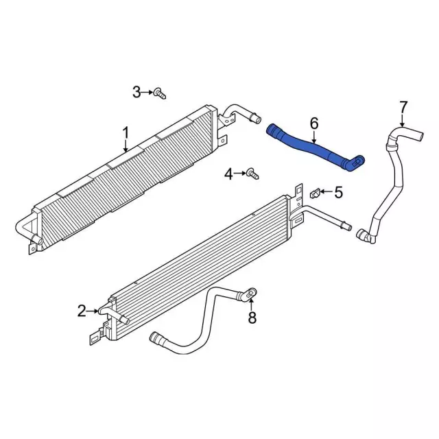 Hose Radiator - Ford (LX6Z-8260-AE)