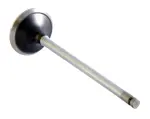 EM2763 - : Engine Exhaust Valve for Enginetech Image