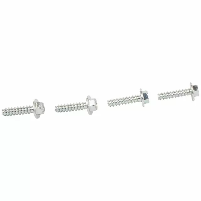 W506824S437 - : 2008-2019 Ford Cargo Lamp Bulb Screw for Ford: E-150, E-250, E-350 Super Duty, Explorer, Police Interceptor Utility | Lincoln: Navigator Image