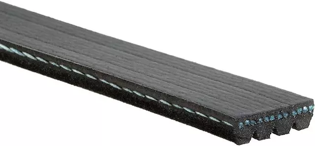 Belt - GM (88932526)