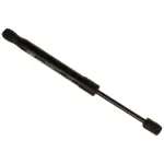TSG367188 - : TRW GAS SPRING for TRW Image