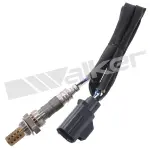 25024509 - : Walker Products 250-24509 Oxygen Sensor 4-W Direct Fit Narrow-Band for Walker Products Inc. - Image