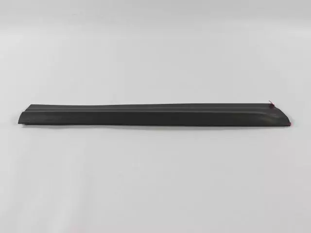 PJ88SS5 - Body: Side Molding for Chrysler: Grand Voyager, Voyager | Dodge: Caravan, Grand Caravan Image