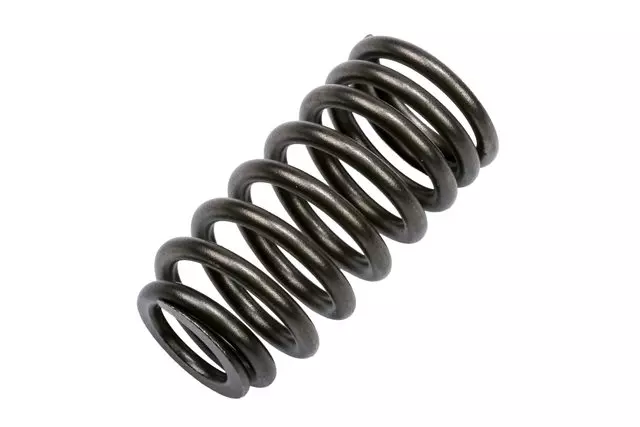 19316205 - : Engine Intake Valve Spring for Chevrolet: City Express Image