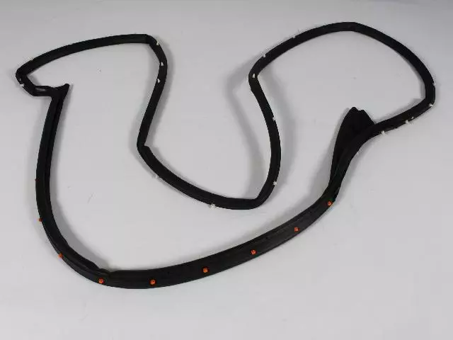 Front Door Opening Weatherstrip, Left - Mopar (55399185AE)