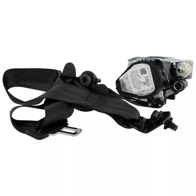 NZ6Z60611B68AB - Electrical: Outer Belt Assembly for Ford Image