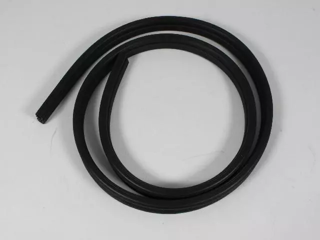 Lift-Gate Glass Weatherstrip - Mopar (55369015AK)
