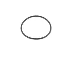 68306343AA - : Water Pump O Ring for Alfa Romeo Image