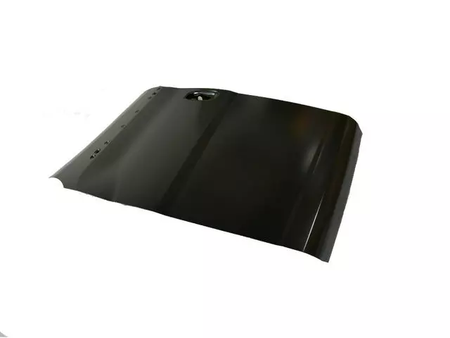 Door - Mopar (68461165AA)