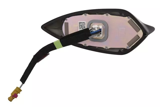 Black High Frequency Antenna - GM (84656569)