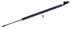 610196 - : Liftgate Lift Support for Tuff Support Image