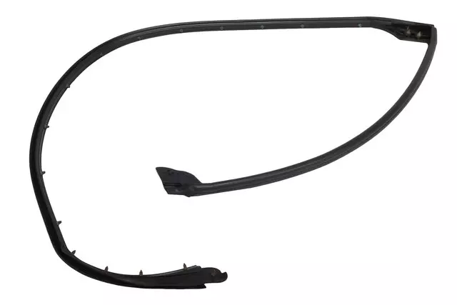 Rear Side Door Lower Auxiliary Weatherstrip - GM (84179514)