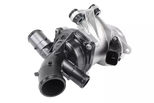 Pump - GM (12738953)