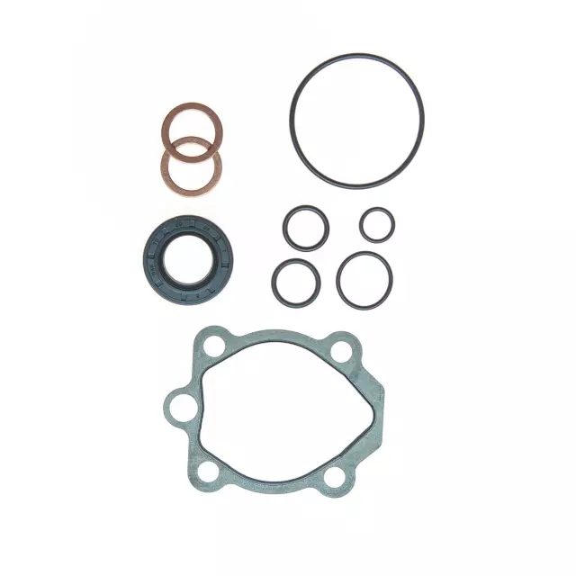 8799 - : PUMP SEAL KIT for Edelmann Image