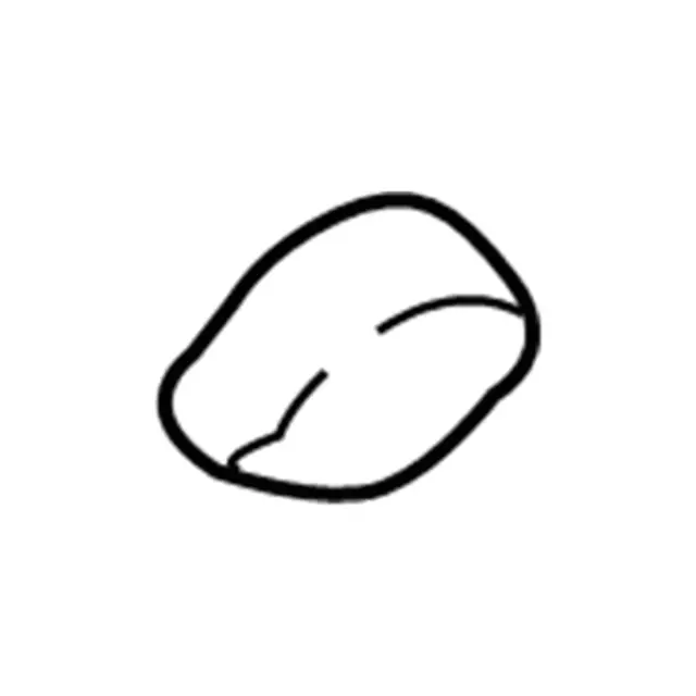 8R2Z1060262AA - Electrical: Seat Belt Assembly Upper Cover for Ford: Transit-150, Transit-250, Transit-350, Transit-350 HD Image