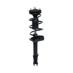 814396 - : PRT 814396 Suspension Strut and Coil Spring Assembly for PRT PERFORMANCE RIDE Image