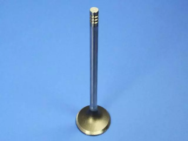 Exhaust Valve, Left Cylinder Head - Mopar (53022088AD)
