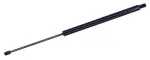 610451 - : Liftgate Lift Support for Tuff Support Image