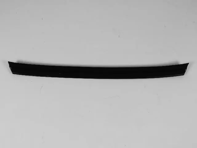 Front Door Belt Weatherstrip - Mopar (55134598)