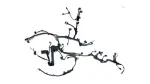 821210A380 - Electrical: Engine Wiring Harness for Toyota Image