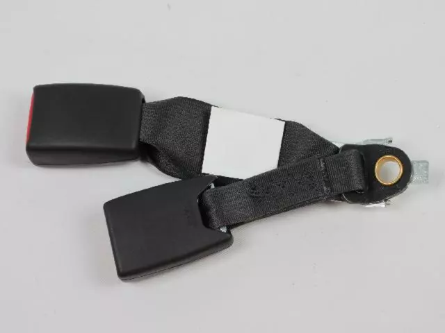 Rear Inner Seat Belt - Mopar (UW801DVAC)