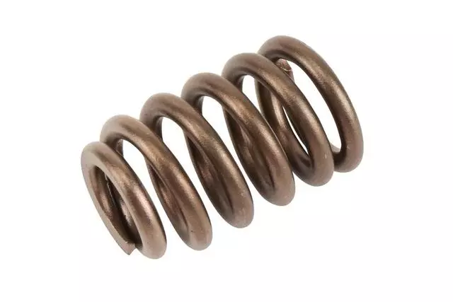 19257200 - : 1995-2009 GM - Engine Valve Spring Kit for GM Image