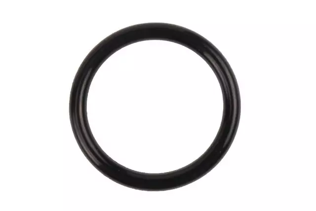 10131047 - : Engine Intake Manifold Seal for Chevrolet: Lumina, Monte Carlo | Oldsmobile: Cutlass Supreme | Pontiac: Grand Prix Image