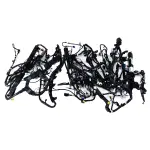 M1MZ14A005DW - : Wiring Assembly for Ford Image