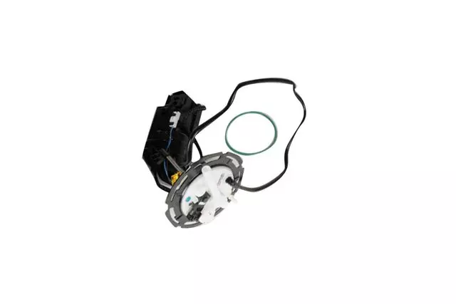 Fuel Pump Assembly - GM (19418080)