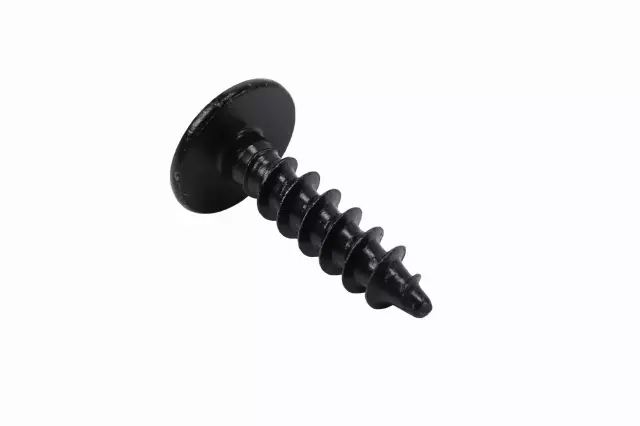 Bolt - GM (90561305)