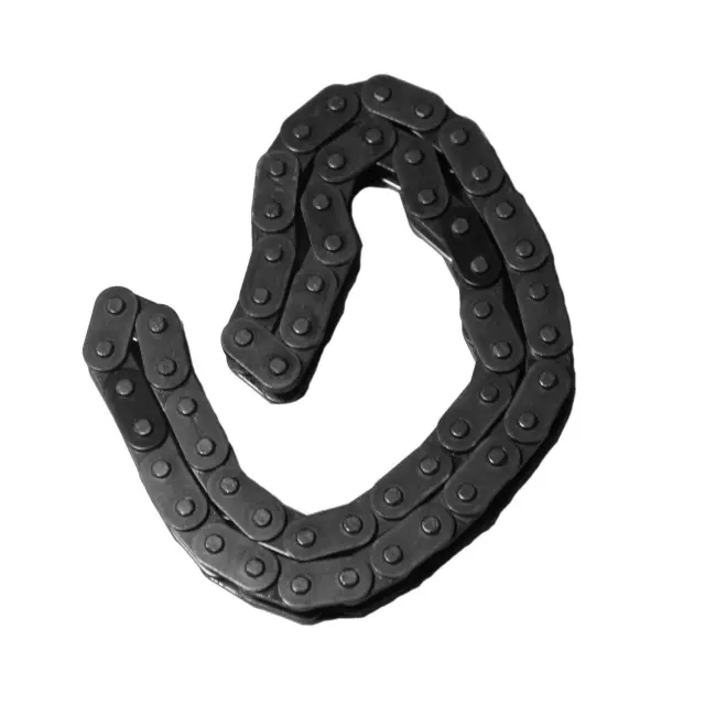 ZC94198 - Engines &amp; Components: INA US Engine Timing Chain for INA US Image