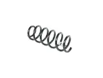 68391333AB - : Front Coil Spring, Left for Mopar Image