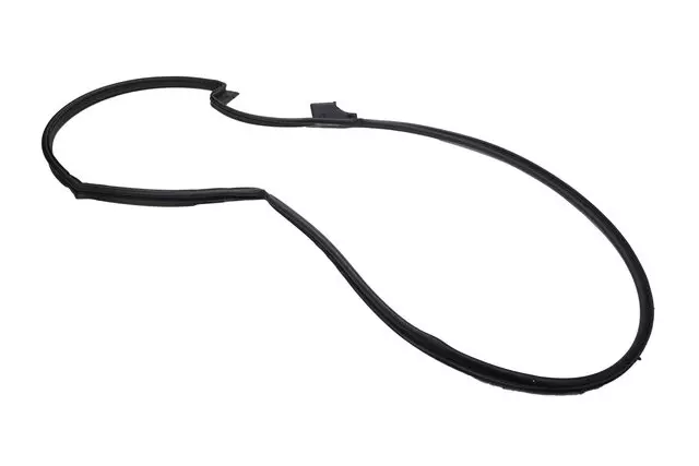 42562284 - Body: Door Weather-strip for Chevrolet: Bolt EV Image