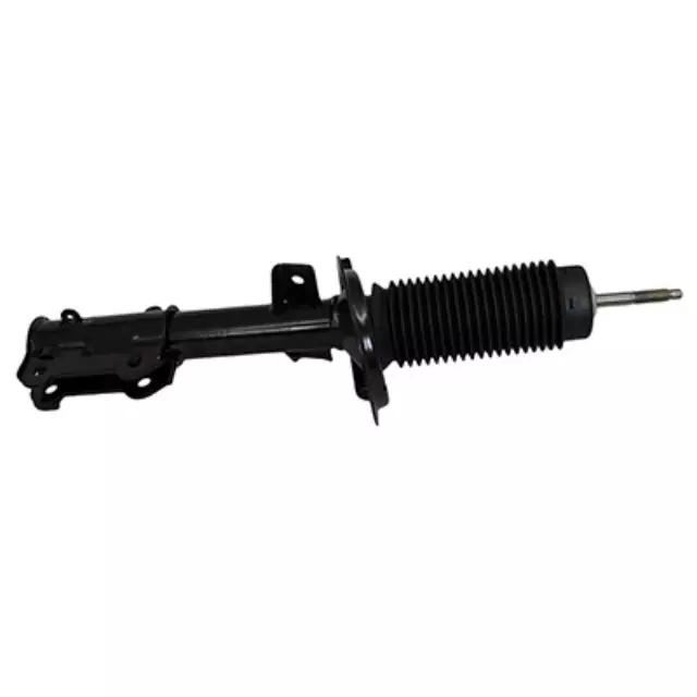 Shock Absorber Assembly - Ford (AST-447)