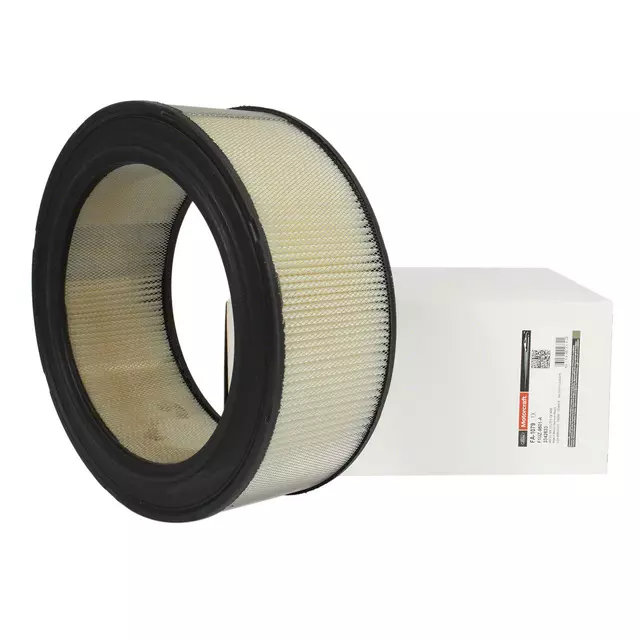 F1UZ9601A - : Air Filter for Ford Image