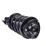 MSS050025 - : Mando Suspension Strut and Coil Spring Assembly for Mando Image