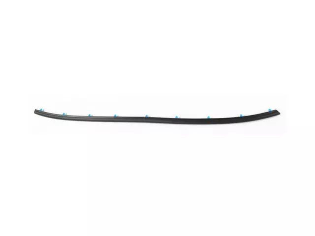 Front Door Opening Weatherstrip, Right Or Left - Mopar (68285482AA)