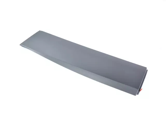 Rear Door Molding, Left - Mopar (6VX69RXFAC)