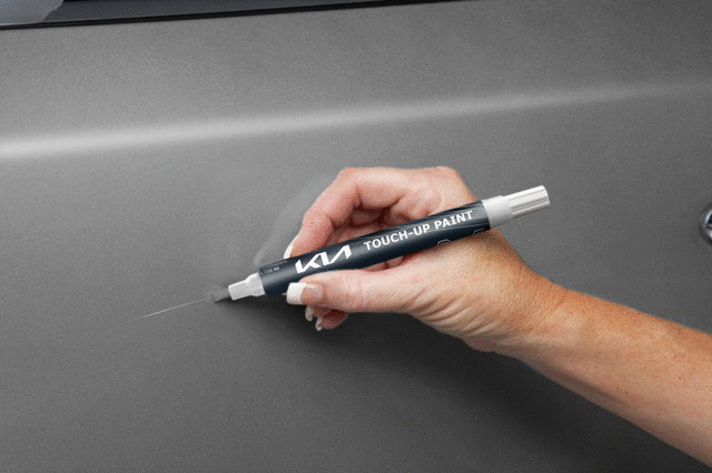 Touch-Up Paint Pen - Wolf Gray