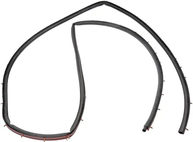 7505203 - : Cab Door Weather Strip for Dorman Image