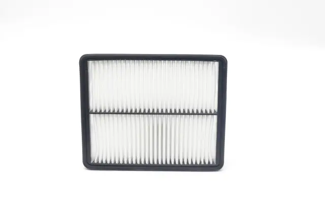 1BP00498AA - : Air Filter for Hyundai: Sonata | Kia: Cadenza, Optima Image